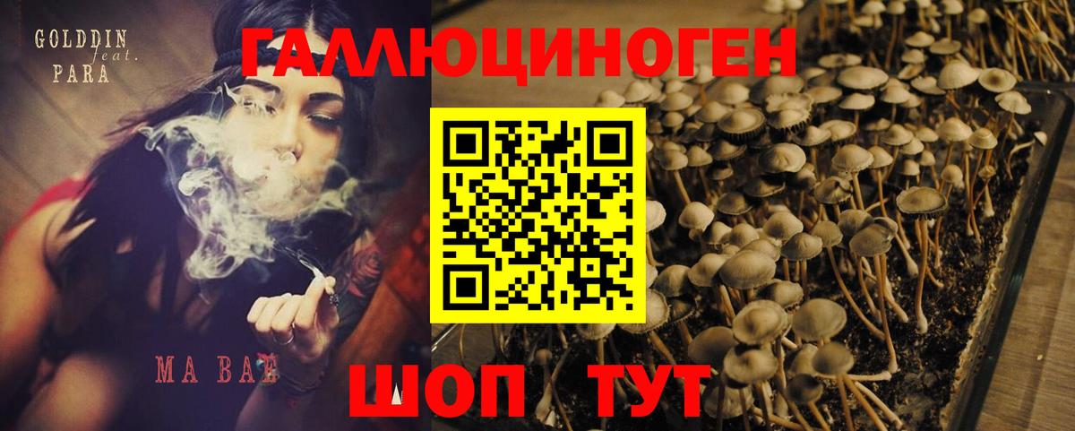 Галлюциногенные грибы ЛСД Сердобск